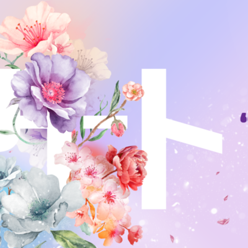 BNK48 1st Concert &ldquo;STARTO&rdquo; คอนเสิร์ตแรกของ BNK48 {31.03-01.04.2561}